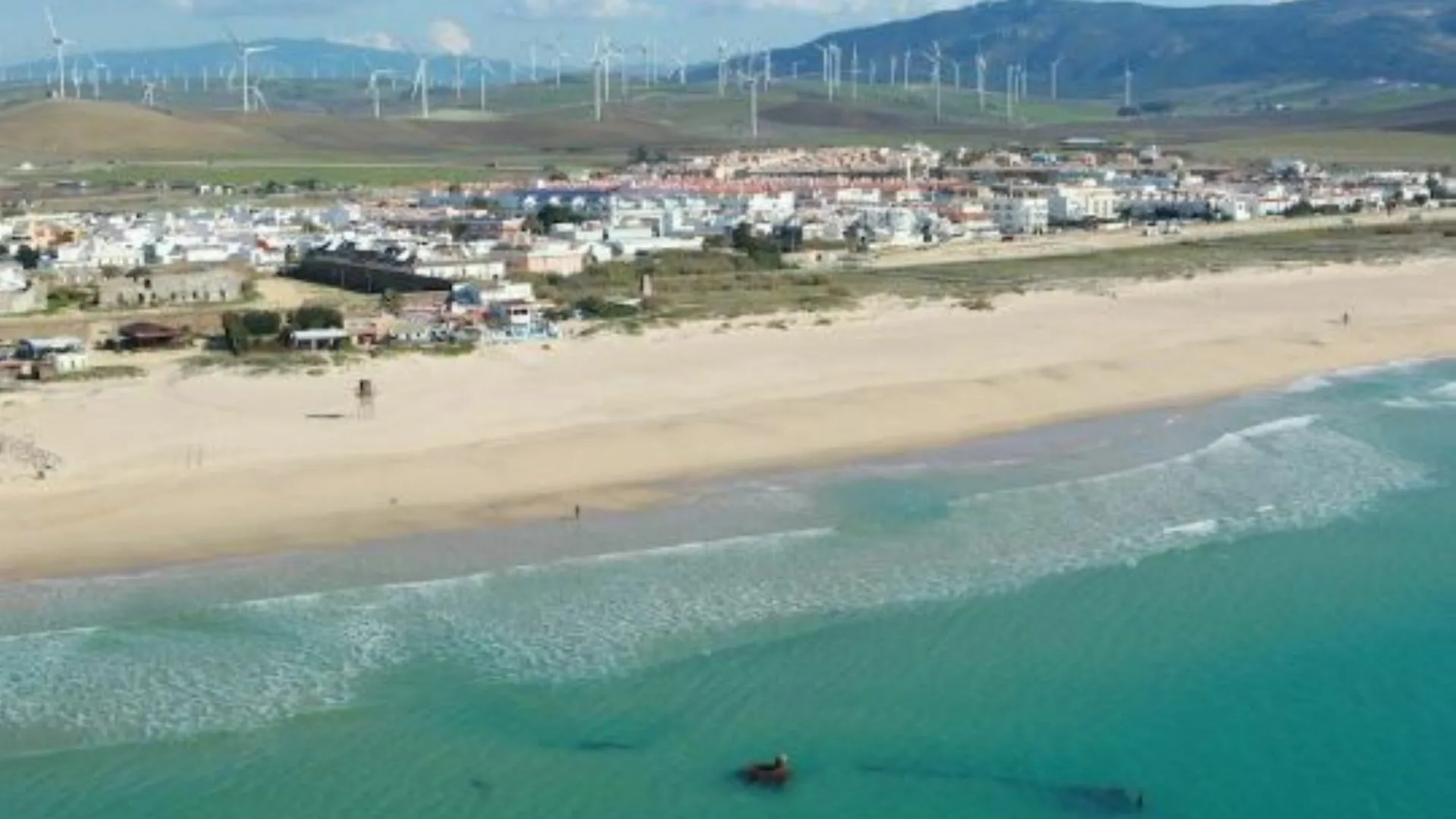 106327 - Apartment In Zahara Tarifa Spain